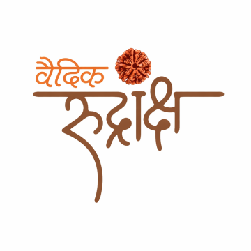 Divine Wisdom Rudraksha Haridwar Energy