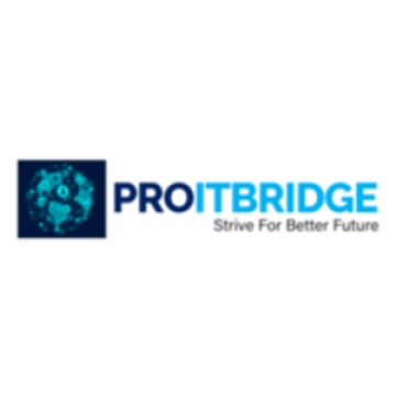 PROITBRIDGE PVT LTD