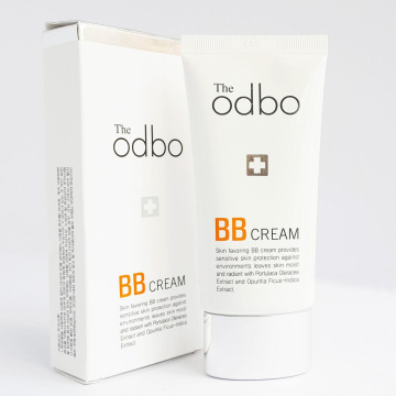 odbo: Where Style Meets Creativity and Innovation