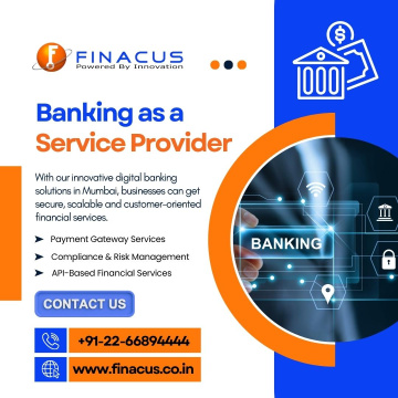 Banking as a Service Provider | Digital Payment Solution