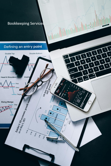 What are the two main categories of accounting?