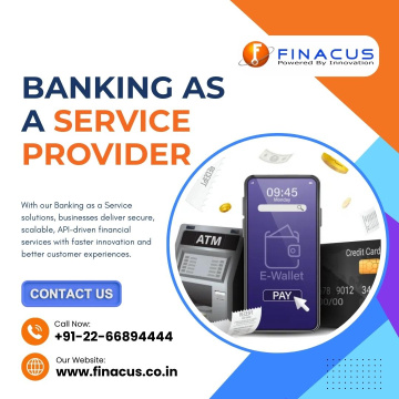 Banking as a Service Provider | Digital Payment Solution
