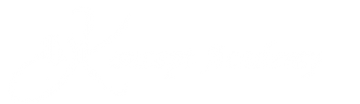 Koncept Academy