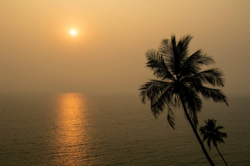 Best Travel Company in Goa