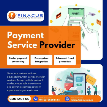 Payment Service Provider | AEPS Software Provider