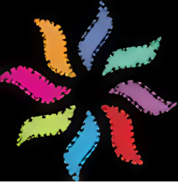 Web Design Cochin