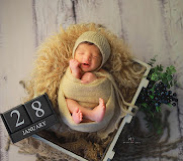 Nativity Step Photography