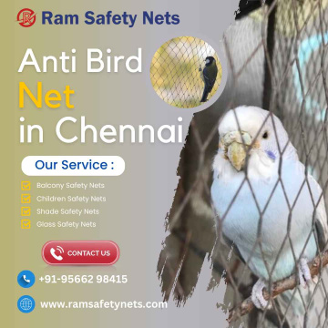 Anti Bird Net in Chennai
