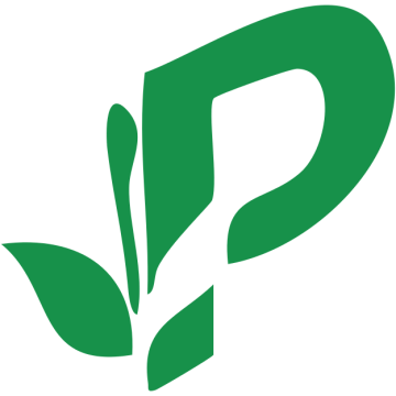 Premium Indian Tea Manufacturer & Supplier in India