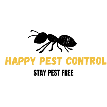 BEST PEST CONTROL SERVICE  IN LUCKNOW WITH 100% HYGENIC