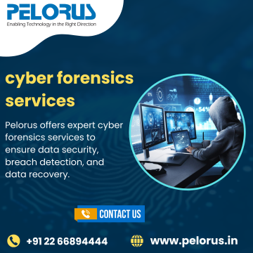 cyber forensics services