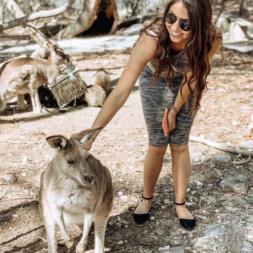 88472pexels-photo-860922.jpeg