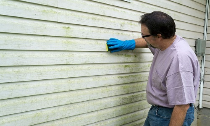 88472pexels-photo-860922.jpeg