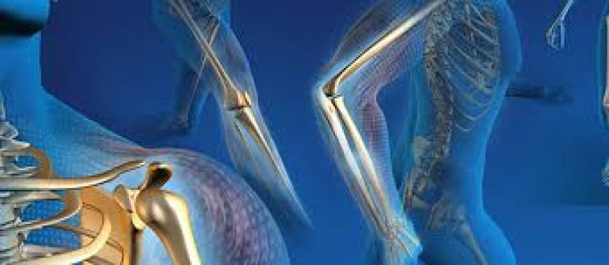88472pexels-photo-860922.jpeg