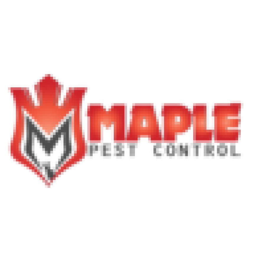 88472pexels-photo-860922.jpeg